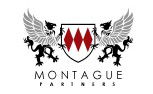 Montague Partners - Melbourne Accountant 0
