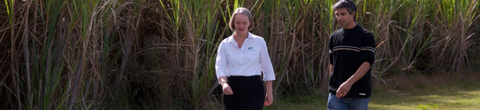 AB Accounting Maclean - Melbourne Accountant 0