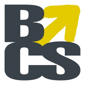 BCS Super Auditors - Melbourne Accountant 0