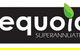 Sequoia Superannuation - thumb 0