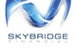 Skybridge Financial - thumb 0