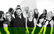 Wardle & Associates - thumb 4