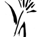 Bloomfield  Associates - Melbourne Accountant