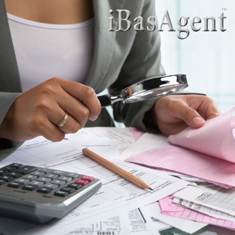 IBasAgent - Melbourne Accountant 1