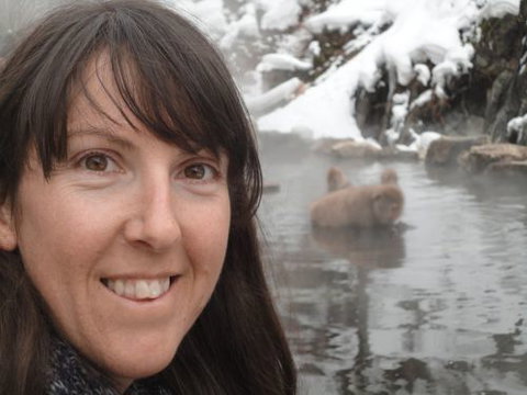 Mountain View Bookkeeping - Melbourne Accountant 0