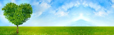 BBS - Business Bookkeeping Solutions - Melbourne Accountant 3