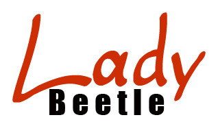 Lady Beetle Business Solutions - Melbourne Accountant 0