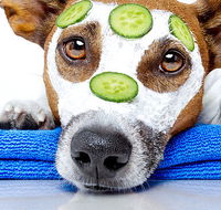 Pretax Bookkeeping Services - Melbourne Accountant