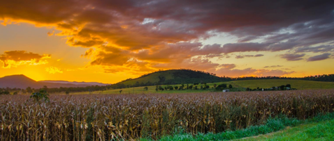 CQ Accounting Services - Melbourne Accountant 1