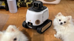AI robot may stop your dog from barking while you're gone Melbourne Accountant