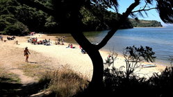 Deadly mystery unfolds as canoeists are found unresponsive after midnight trip Melbourne Accountant