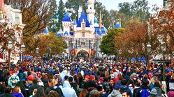 Disneyland guests left scrambling after water outage shuts bathrooms and restaurants Melbourne Accountant