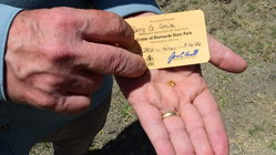 Grandfather finds hidden treasure in plain sight as park officials 'dumbfounded' by discovery Melbourne Accountant