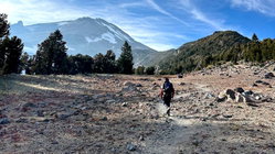 Mount Shasta climber recounts harrowing 500-foot slide, overnight crawl to safety: report Melbourne Accountant