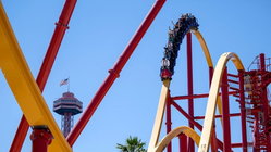 Popular amusement park bans guest for life after roller coaster stunt viral video Melbourne Accountant