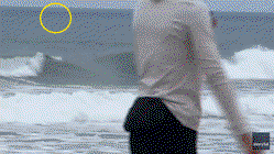 Shark Week shocker as great white breaches just yards from oblivious boogie boarder Melbourne Accountant